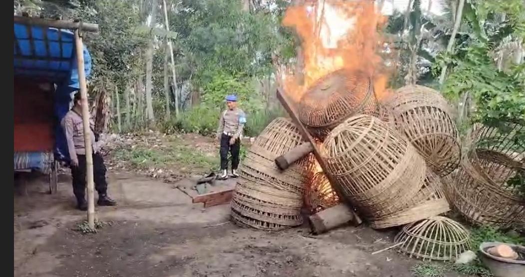 Temukan Arena Judi di Wonokerto Bantur Malang, Polisi Langsung Bakar Tempat Sabung Ayam