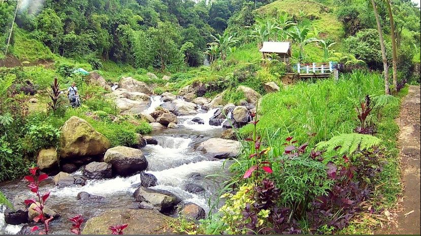 Keindahan Coban Siuk, Kecamatan Jabung, Kabupaten Malang (Dok. Gmaps)