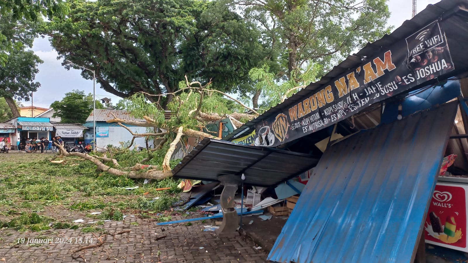 Hujan Deras dan Angin Kencang, Pujasera di Terminal Lawang Malang Tertimpa Pohon Tumbang