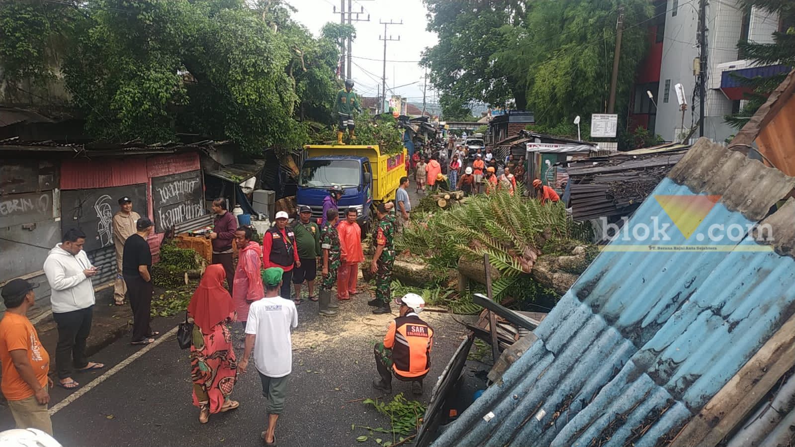 Pohon Tumbang di Jalan Juanda Kelurahan Jodipan Kecamatan Blimbing Kota Malang, Rabu (24/1/2024) (blok-a/Agus)