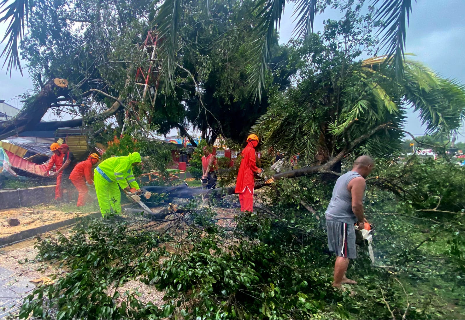 Petugas membersihkan lokasi pohon tumbang di Alun-alun sisi Timur Kota Blitar. (dok. Humas Polres Blitar Kota)