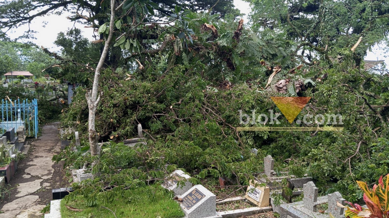 20 Lebih Makam di TPU Kasin Malang Terdampak Pohon Tumbang