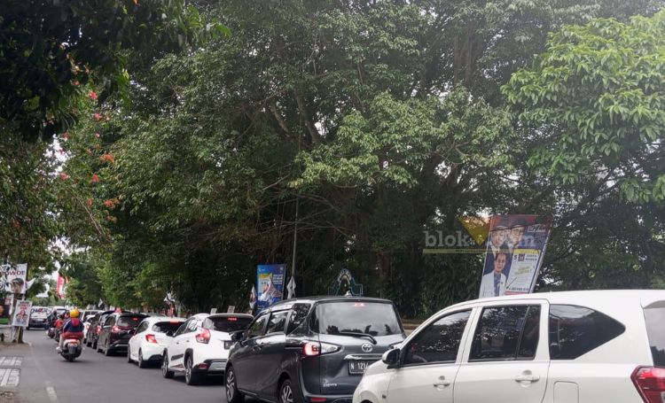 Pepohonan di Jalan Mayjen Panjaitan Kota Malang.(blok-a.com/Satrio)