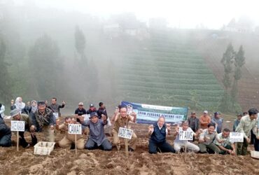 Penanaman kentang varietas G2 Granola di area pertanian Desa Ngadas, Kecamatan Poncokusumo, Kabupaten Malang (dok. Kepala DPTHP for blok-a.com)