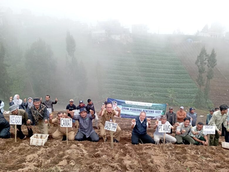 Penanaman kentang varietas G2 Granola di area pertanian Desa Ngadas, Kecamatan Poncokusumo, Kabupaten Malang (dok. Kepala DPTHP for blok-a.com)