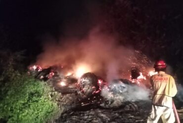 Lokasi penampungan limbah triplek terbakar di Desa Kasembon, Kecamatan Bululawang, Kabupaten Malang (dok. Damkar Kabupaten Malang for blok-a.com)