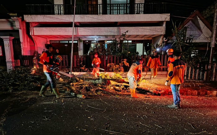 Salah satu titik pohon tumbang di Kota Batu.