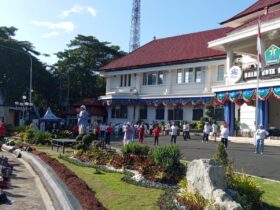 Senam STMJ Perdana di Balai Kota Malang Meriah, Ratusan Orang Tumpek Blek