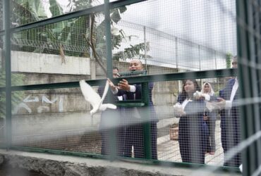 Fasilitas baru aviary di Grand Mercure Malang Mirama.