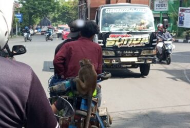 Topeng Monyet di jalanan Malang. (blok-a.com/Satria Akbar)