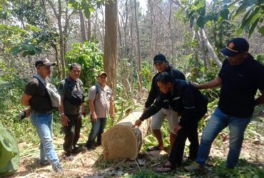Barang bukti potongan kayu jati yang ditemukan di lokasi yang tak jauh dari penangkapan tersangka (dok. Humas Polres Malang for blok-a.com)