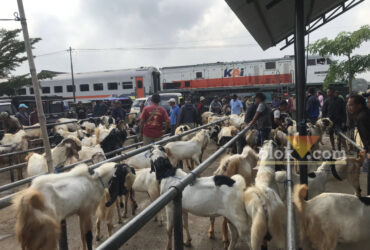 Tempat Jualan serta Kesehatan Hewan Kurban di Malang Diawasi, Cegah Penyakit Menular