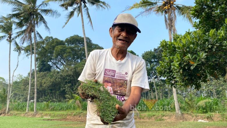 Budidaya rumput hias jadi ladang cuan bagi warga Desa Kidangbang, Kecamatan Wagir, Kabupaten Malang (blok-a.com/ Putu Ayu Pratama S)