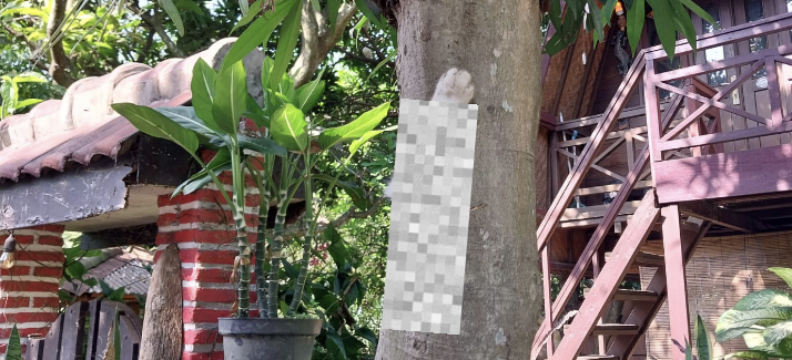 Kaki kucing yang terpaku di pohon di salah satu perumahan di Malang