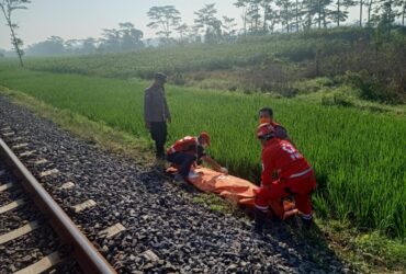 Caption: Petugas Evakuasi Jenasah Lansia Terkidas KA Gajayana di Desa Karangpandan Kecamatan Pakisaji, Kabupaten Malang, Minggu (16/6/2024) blok-a/Andik Agus)
