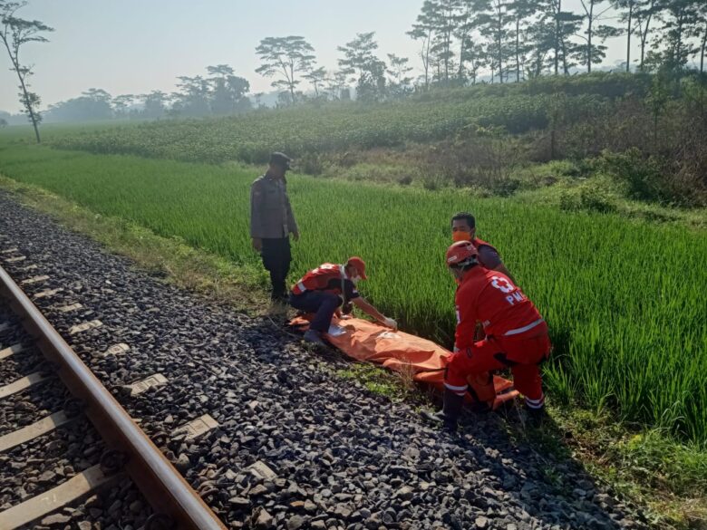 Caption: Petugas Evakuasi Jenasah Lansia Terkidas KA Gajayana di Desa Karangpandan Kecamatan Pakisaji, Kabupaten Malang, Minggu (16/6/2024) blok-a/Andik Agus)