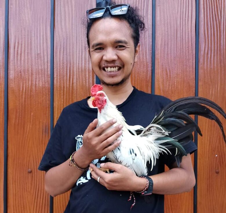 Kota Malang, Blok-a.com - Seorang seniman muda Kota Malang Indra Setiawan, memilih untuk memelihara ayam di rumahnya yang terletak di dalam perumahan