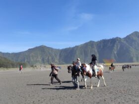 Kawasan wisata Gunung Bromo.(blok-a.com/Lionita)