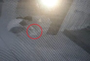 Tangkapan layar rekaman CCTV pencurian uang arwah di Masjid Bakhrus Sholikhin, Jalan Sumpil 1, Kelurahan Polowijen, Kecamatan Blimbing, Kota Malang, Sabtu (15/6/2024) (blok-a/Andik Agus)