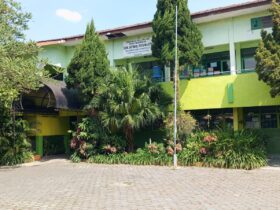 Salah satu sekolah, yakni SDN Jatimulyo 4 Kota Malang yang kekurangan murid (blok-a/Satria Akbar Sigit)