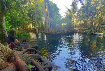 4 Wisata Air Jernih di Malang, Segarkan Mata dan Badan di Musim Kemarau
