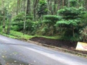 caption:Jalur Tengkorak Klemuk Kota Batu, Jumat (19/7/2024) (blok-a/Andik Agus)