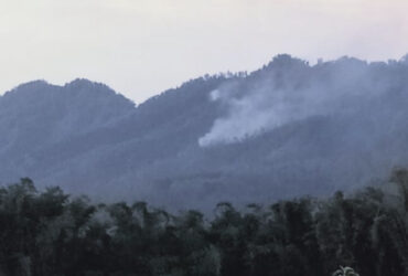 Kepulan asap dari kebakaran hutan di area Coban Rondo, Kecamatan Pujon, Kabupaten Malang (dok. Kabid Kedaruratan dan Logistik BPBD Kabupaten Malang for blok-a.com)