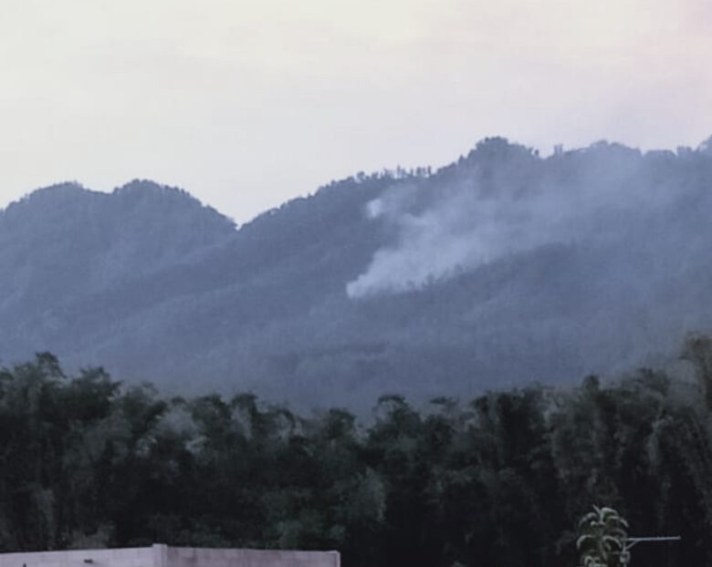 Kepulan asap dari kebakaran hutan di area Coban Rondo, Kecamatan Pujon, Kabupaten Malang (dok. Kabid Kedaruratan dan Logistik BPBD Kabupaten Malang for blok-a.com)