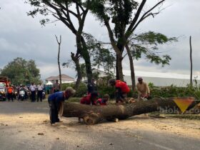Tinjauan Bupati Malang, Sanusi beserta jajaran ke pengerjaan fisik proyek strategis infrastuktur Jalan Gondanglegi - Balekambang di Kecamatan Gondanglegi (blok-a.com/ Putu Ayu Pratama S)