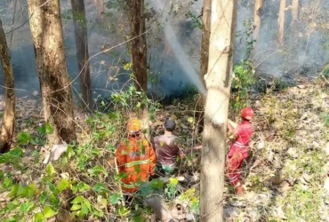 Kebakaran hutan jati di kawasan Gunung Geger, Kecamatan Pagak, Kabupaten Malang (dok. BPBD Kabupaten Malang for blok-a.com)