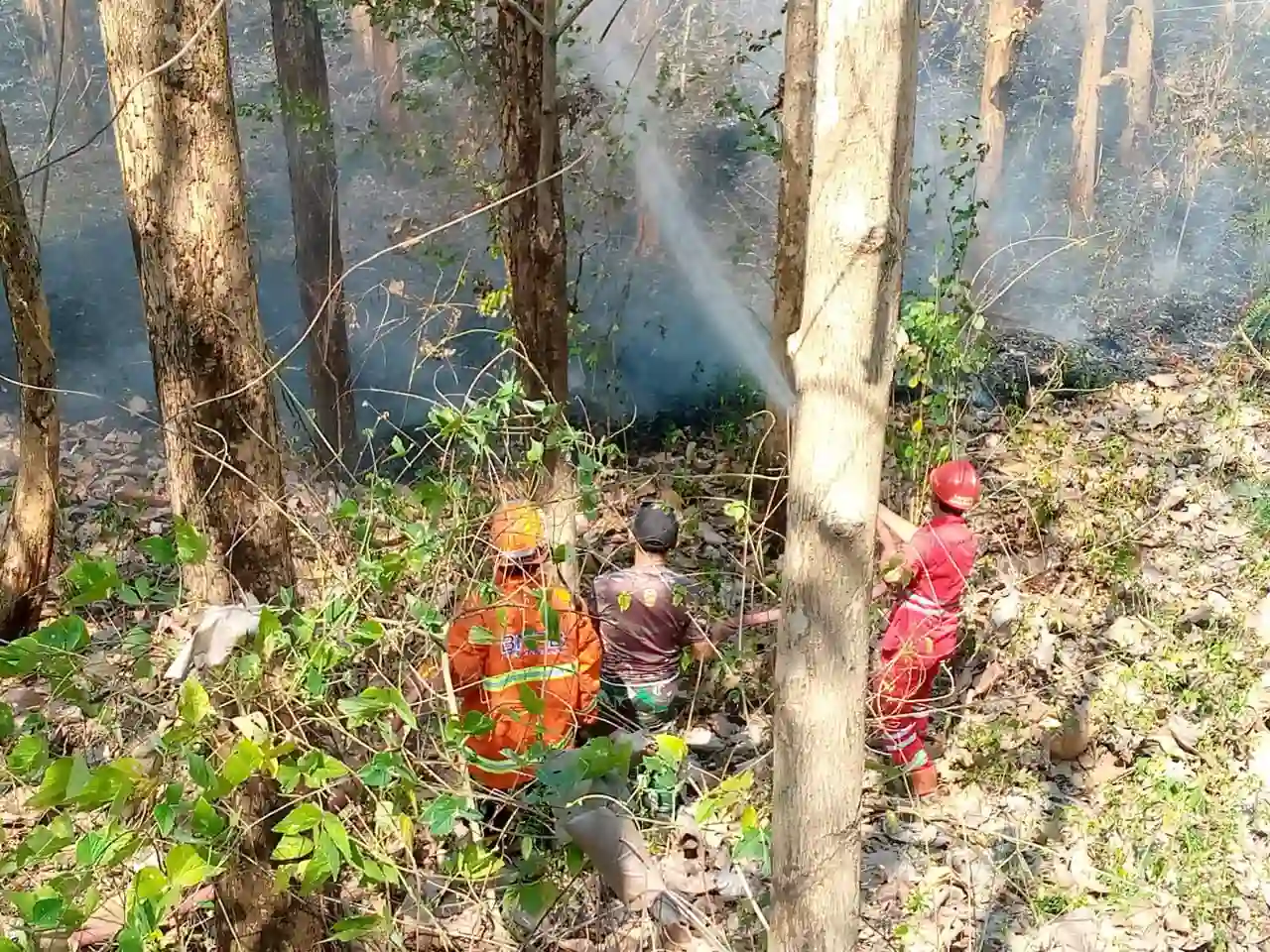 6,5 Hektare Lahan Gunung di Malang Hangus Terbakar, Diduga Karena ...