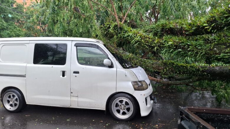 Pohon tumbang di Kota Malang menimpa mobil, Jumat (24/10/2025) (dok. BPBD Kota Malang for blok-a)