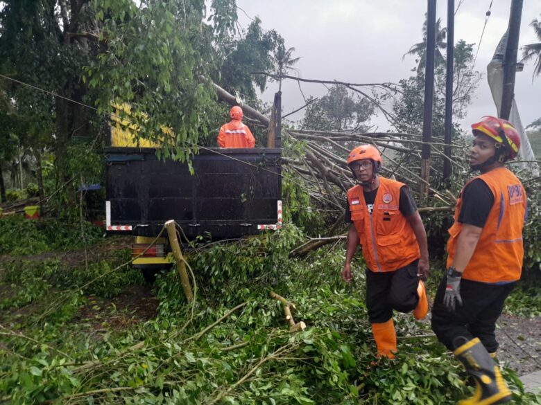 Hujan Deras - Angin Kencang, Pohon Tumbang Timpa Truk di Ngajum Malang