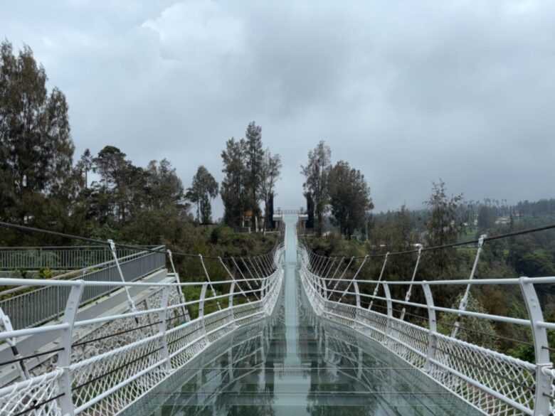 Jembatan Kaca Bromo Resmi di Bawah Pengelolaan Kementerian Kehutanan