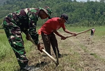 Petani Desa Lebakharjo bersyukur dengan adanya program TMMD, permudah akses saat panen (Kodim0818)