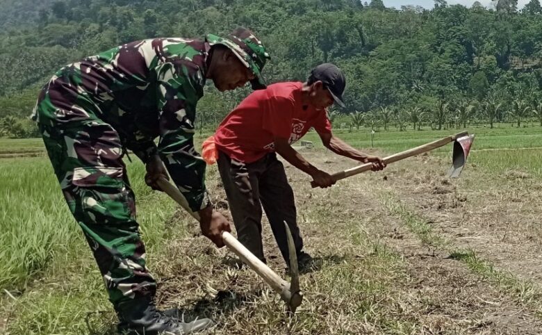 Petani Desa Lebakharjo bersyukur dengan adanya program TMMD, permudah akses saat panen (Kodim0818)