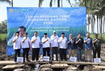Bupati Malang, HM Sanusi dalam acara Tanam Perdana Tebu Bonggkar Ratoon 2025 sukseskan Swasembada Gula Nasional (pro)