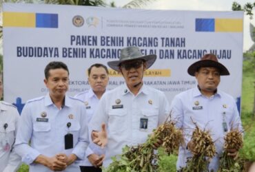 Kakanwil Ditjenpas Jatim Panen Perdana Kacang Tanah di SAE L’SIMA Ngajum