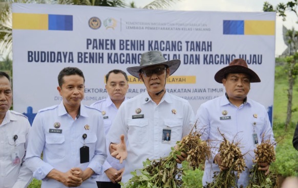 Kakanwil Ditjenpas Jatim Panen Perdana Kacang Tanah di SAE L’SIMA Ngajum