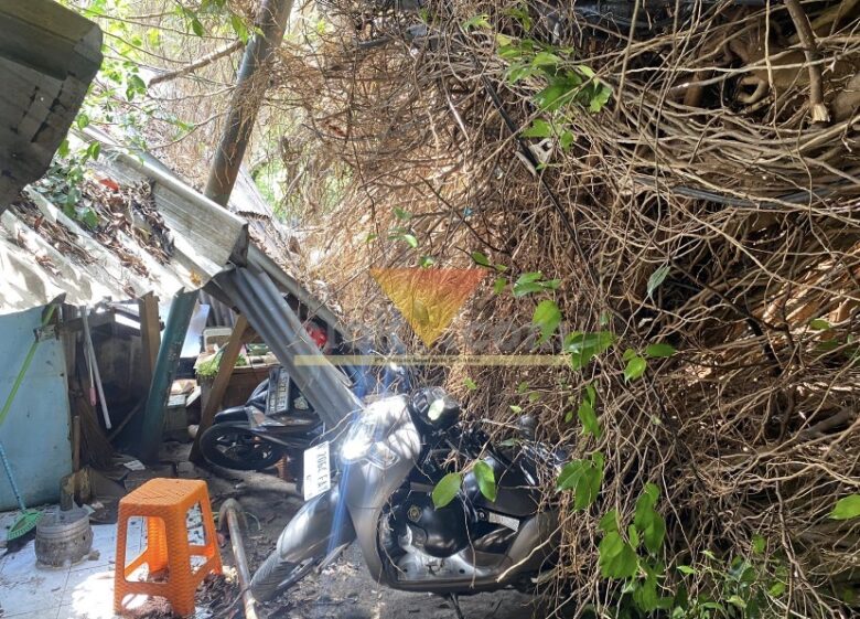 Pohon Tumbang Timpa Dua Kendaraan dan Warung di Jalan Merapi