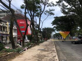 Pohon di Suhat Belum Bisa Ditanam Kembali, Ini Penjelasan DLH
