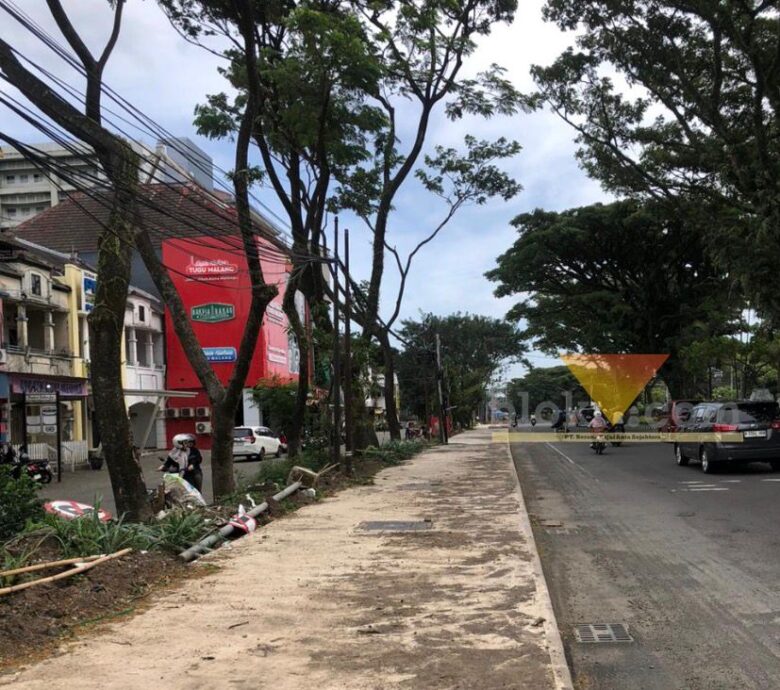 Pohon di Suhat Belum Bisa Ditanam Kembali, Ini Penjelasan DLH