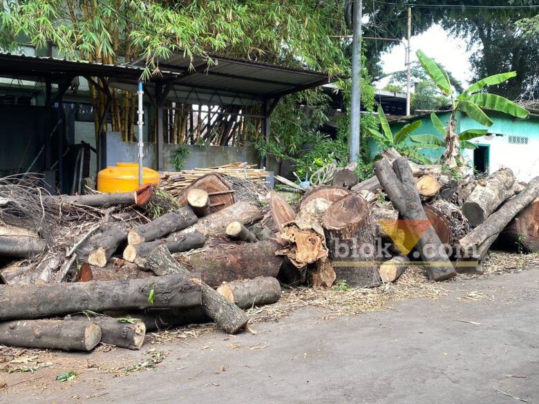 Tumpukan pohon yang bakal dilelang Pemkot Malang. (blok-a.com / M Berril Labiq)