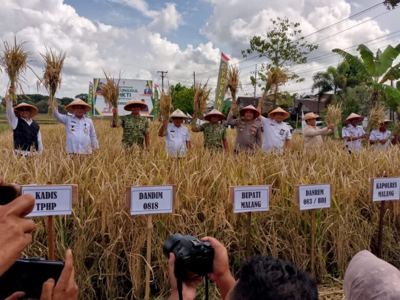 Bupati Malang, HM Sanusi saat panen padi di Turen (Humas HKTI)
