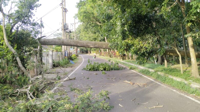 Pohon tumbang yang menutup akses Jalan Simpang Ijen Kota Malang (BPBD Kota Malang)