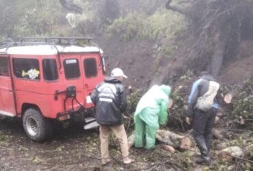 Longsor yang terjadi di Bukit Kingkong Bromo (Istimewa)