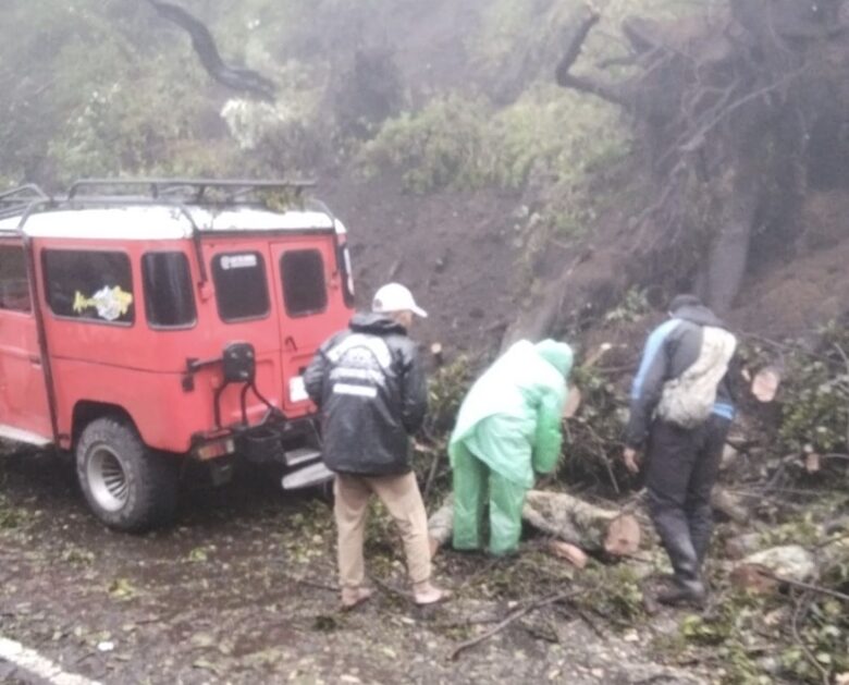 Longsor yang terjadi di Bukit Kingkong Bromo (Istimewa)