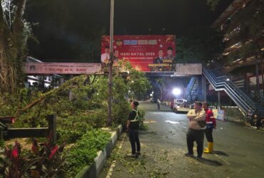 Lonjakan Aktivitas Lebaran, DLH Kota Malang Amankan Jalur dengan Perempesan Pohon
