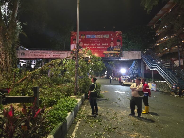Lonjakan Aktivitas Lebaran, DLH Kota Malang Amankan Jalur dengan Perempesan Pohon