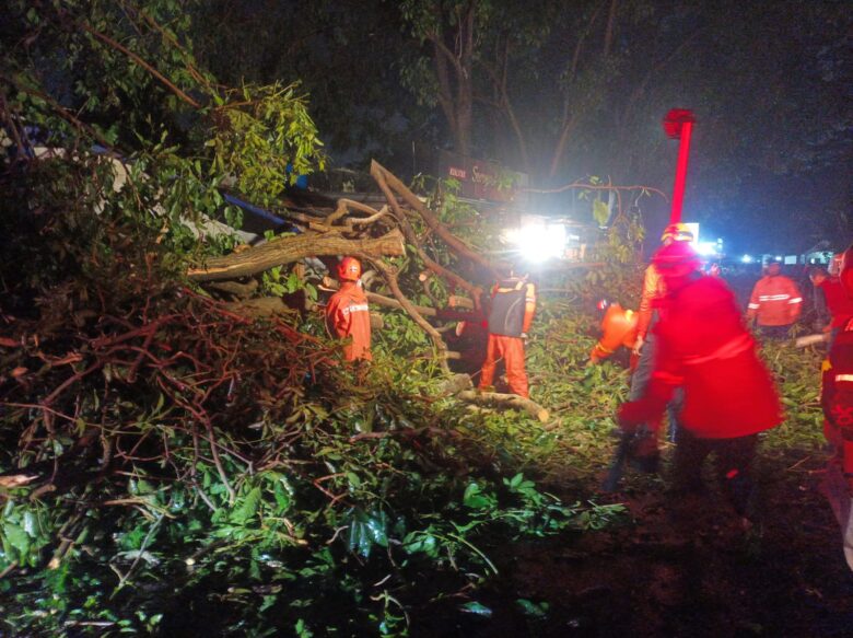 Angin Kencang di Kota Malang Tumbangkan Pohon, Tiga Mobil Jadi Korban
